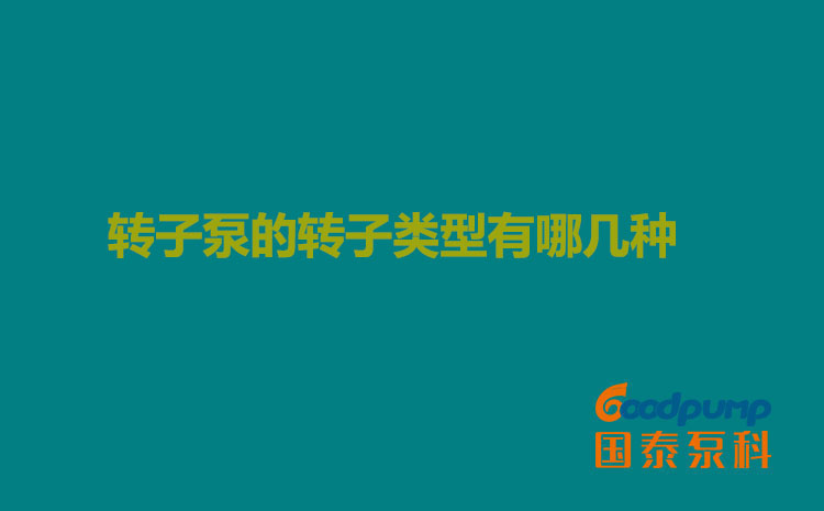 轉(zhuǎn)子泵的轉(zhuǎn)子類(lèi)型有哪幾種