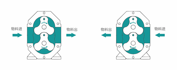凸輪轉(zhuǎn)子泵試車注意事項(xiàng)